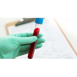 copy of Hummingbird printed...